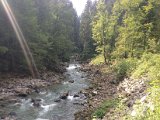 IMG_0473.JPG