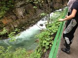 IMG_0474.JPG