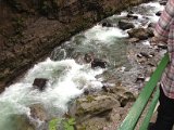 IMG_0475.JPG