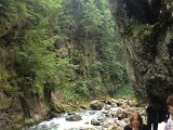 IMG_0476.JPG