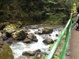 IMG_0479.JPG