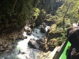 IMG_0492.JPG
