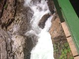 IMG_0493.JPG