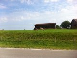 IMG_1615.JPG