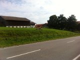 IMG_1616.JPG
