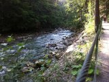 IMG_1627.JPG