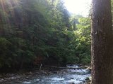 IMG_1628.JPG