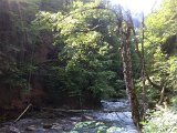 IMG_1629.JPG