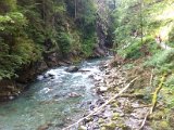 IMG_1631.JPG