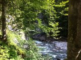 IMG_1637.JPG