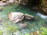 IMG_1638.JPG