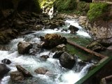 IMG_1648.JPG