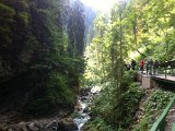 IMG_1649.JPG