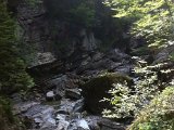 IMG_1650.JPG