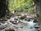 IMG_3647.JPG