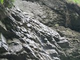 IMG_3665.JPG
