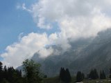 IMG_8334.JPG