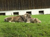 BILD0117.JPG