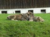 BILD0118.JPG