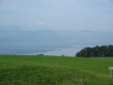 IMG_0043.JPG