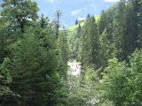 IMG_0061.JPG