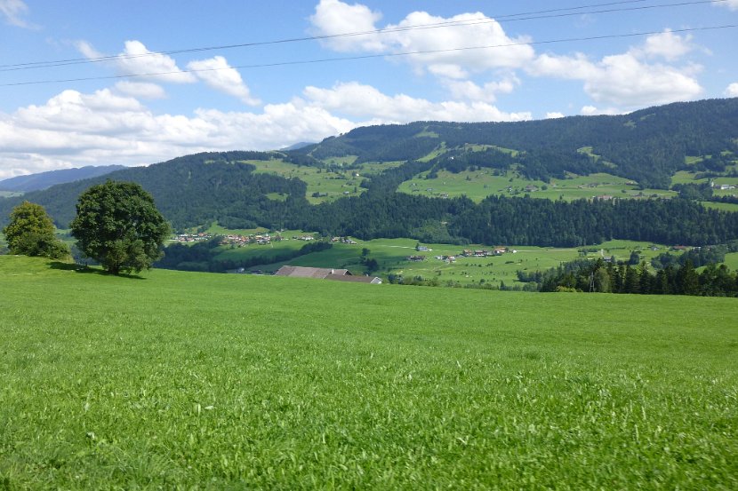 P1000775