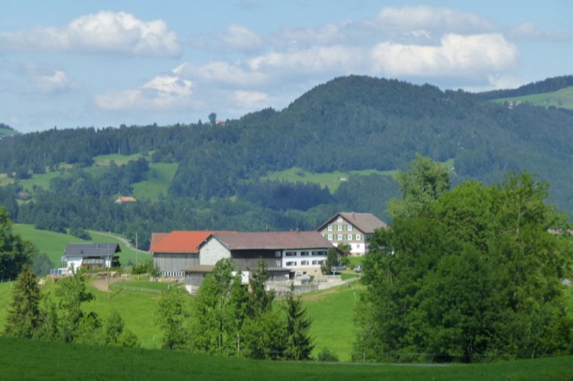 P1000798