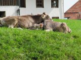 IMG_2962.JPG