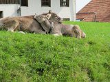 IMG_2965.JPG