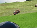 IMG_3004.JPG